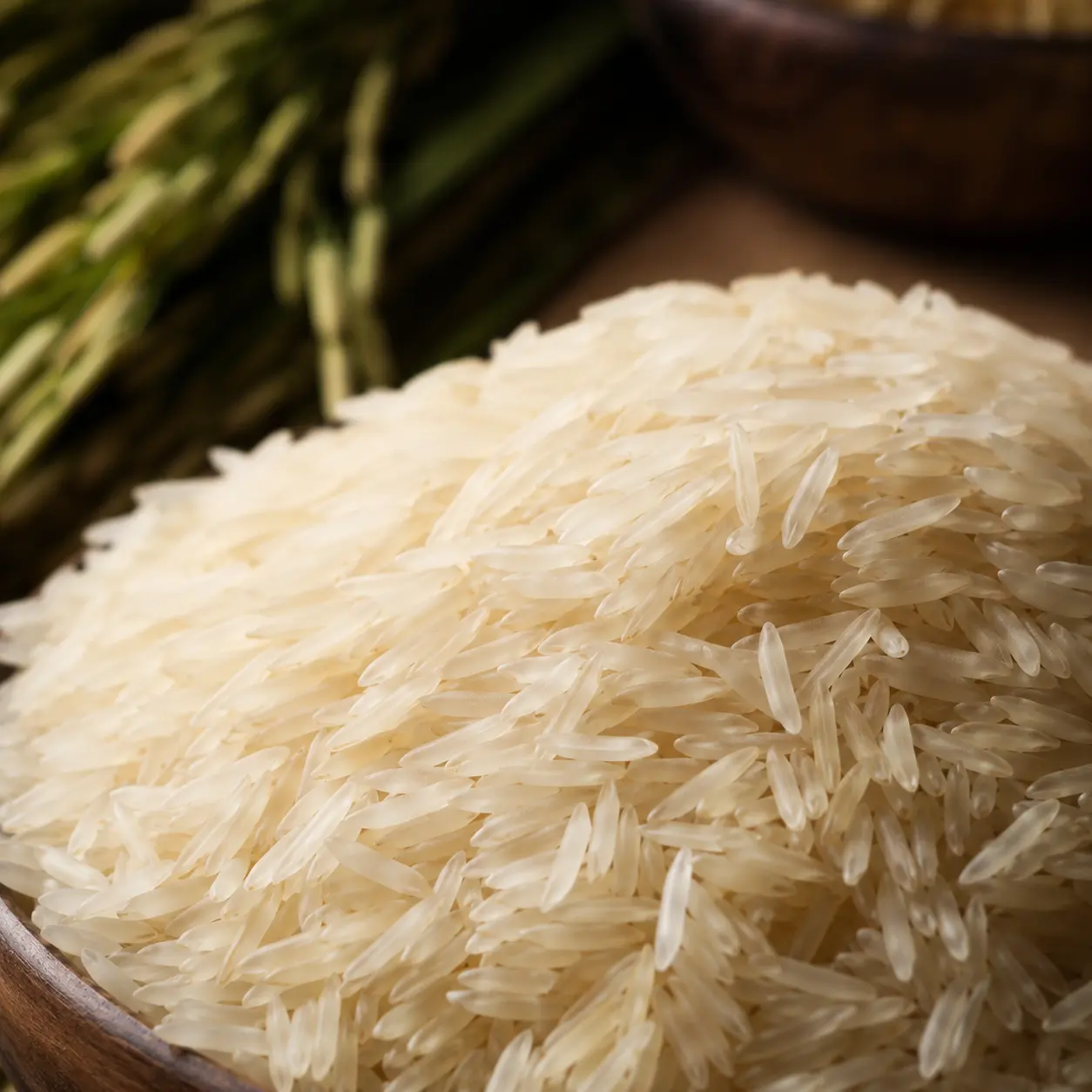 Rice